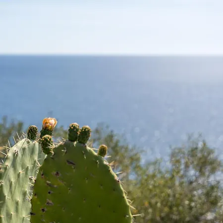 Panoramico Splendida Vista Mare * 卡拉古诺内